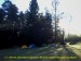 02 Zimní táboření KČT v Arboretu Řícmanice