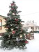 28 I vesničky na Vysočině mají své vánoční stromky.