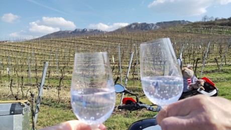 23 Pondělí - připíjíme Pálavě k 50. narozeninám CHKO.