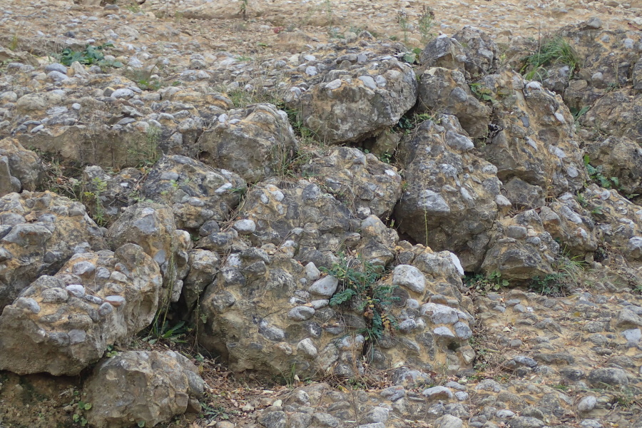 027 Prý 29 000 let starý beton