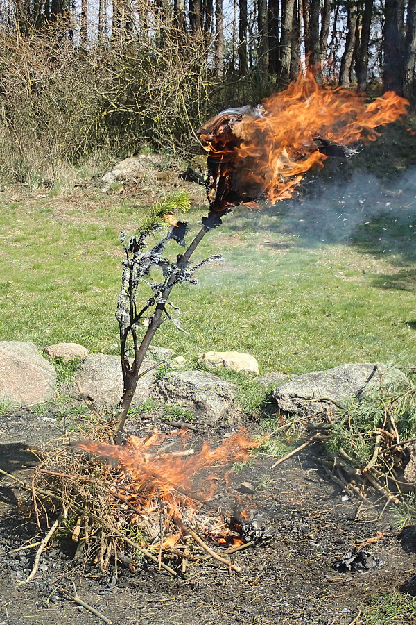 29 Nenávratně jsme nastolili jaro