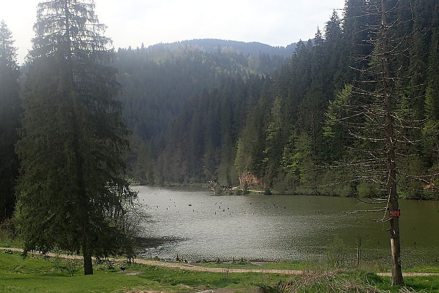 12 Lacul Rosu - Růžové jezero