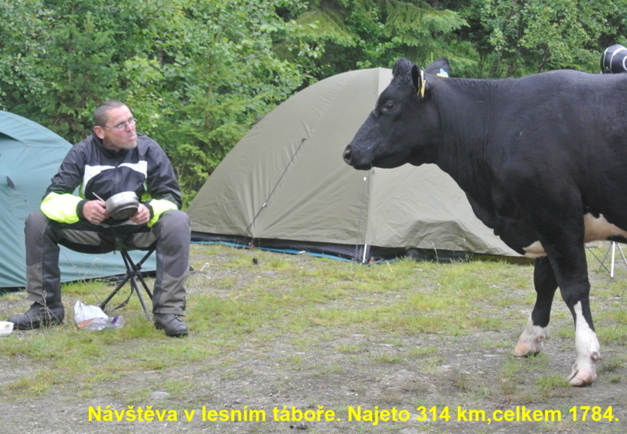 Skandinavie 1 197