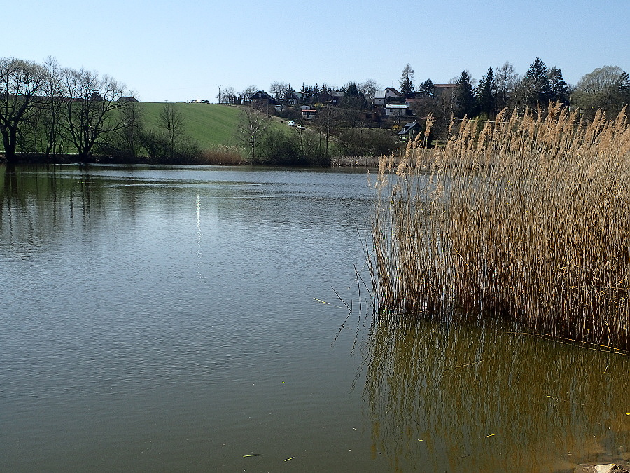 13 Žebětínský rybník