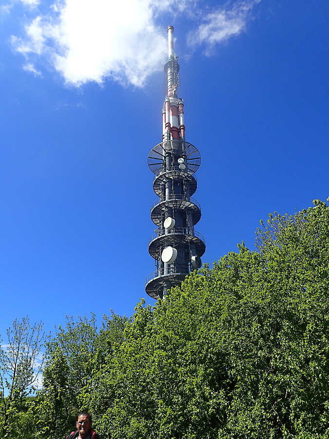 10 Velká Javořina, 970 m