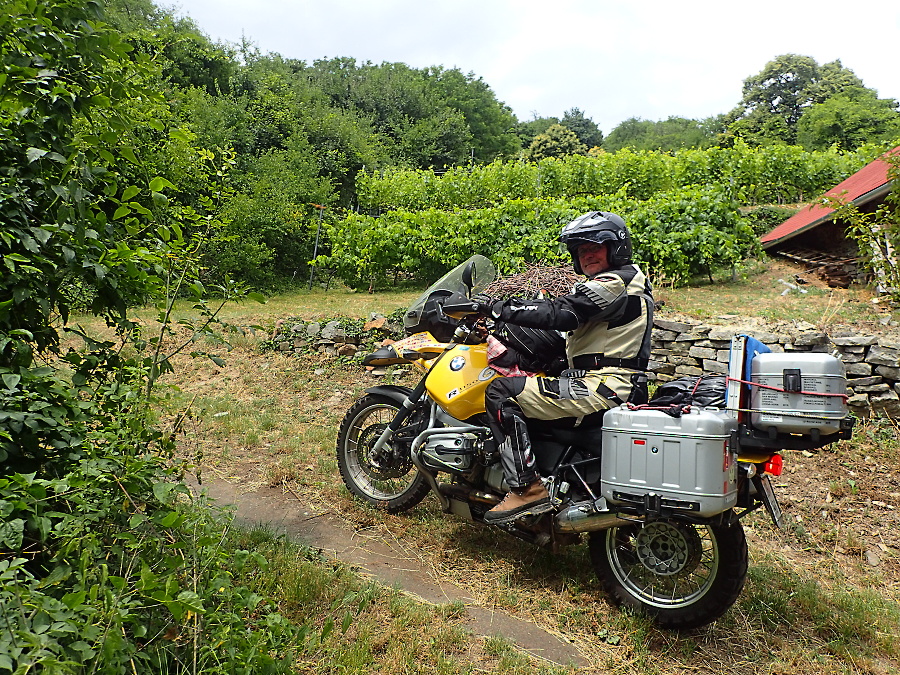 11 Enduro jízda mezi vinice