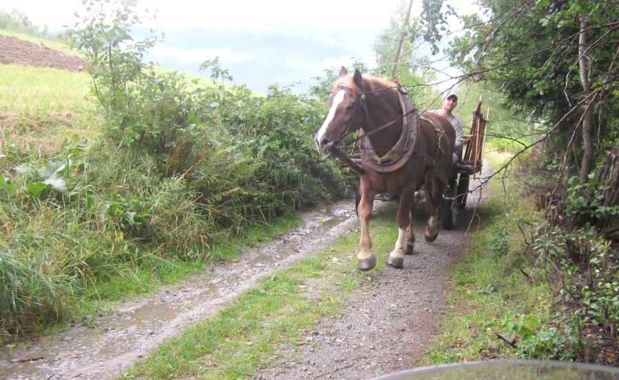 Slovensko,Polsko 2013 371