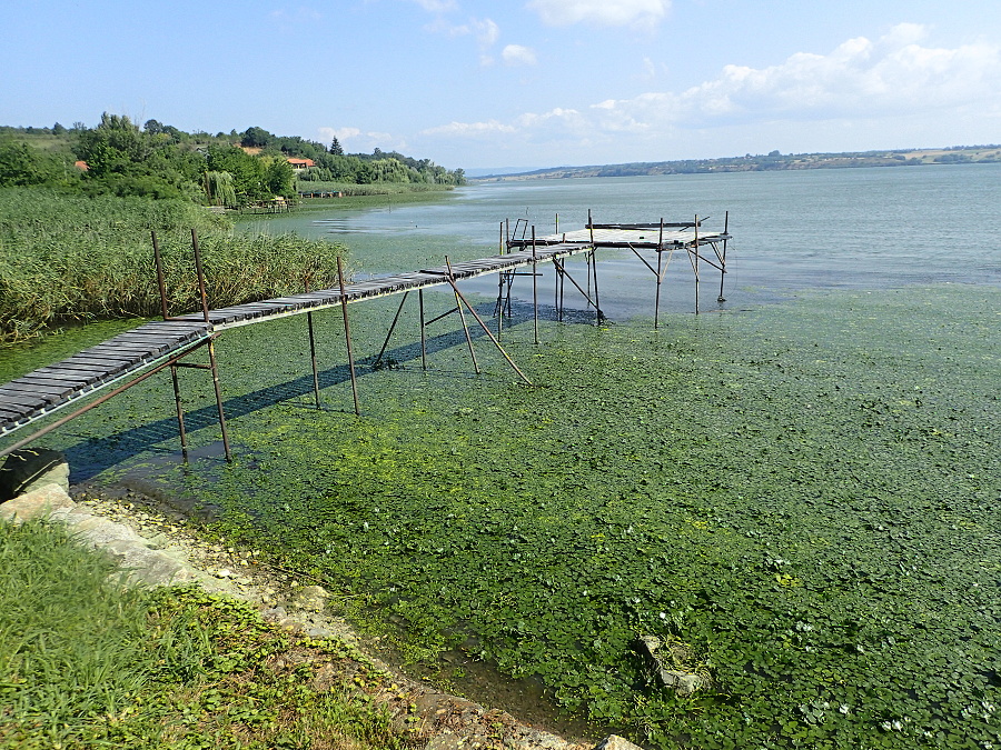 24 U Dunaje mimo obce nejsou přístupy do vody
