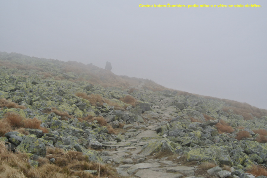 Nízké Tatry 025