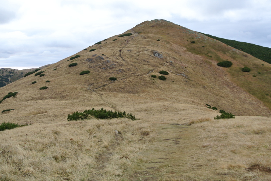 Nízké Tatry 028