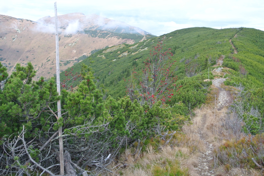 Nízké Tatry 031