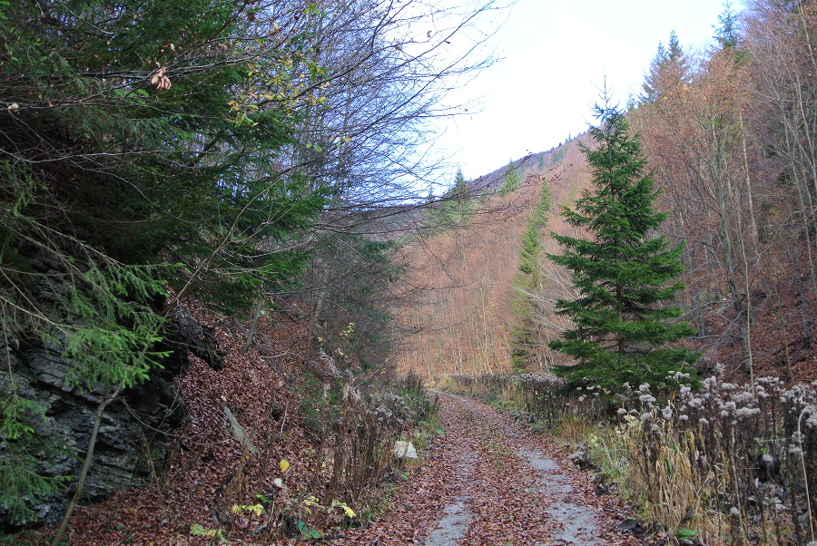 Nízké Tatry 034