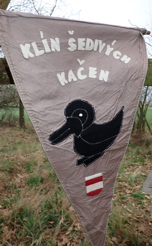07 Dvě kačeny přišly pěšky.
