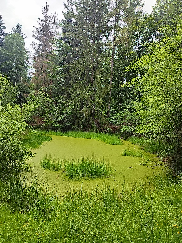 07 U Sládkovy skály