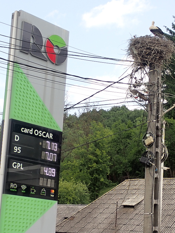 08 Cenu násob pěti