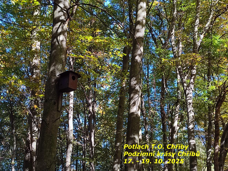 01 Podzimní Chřiby