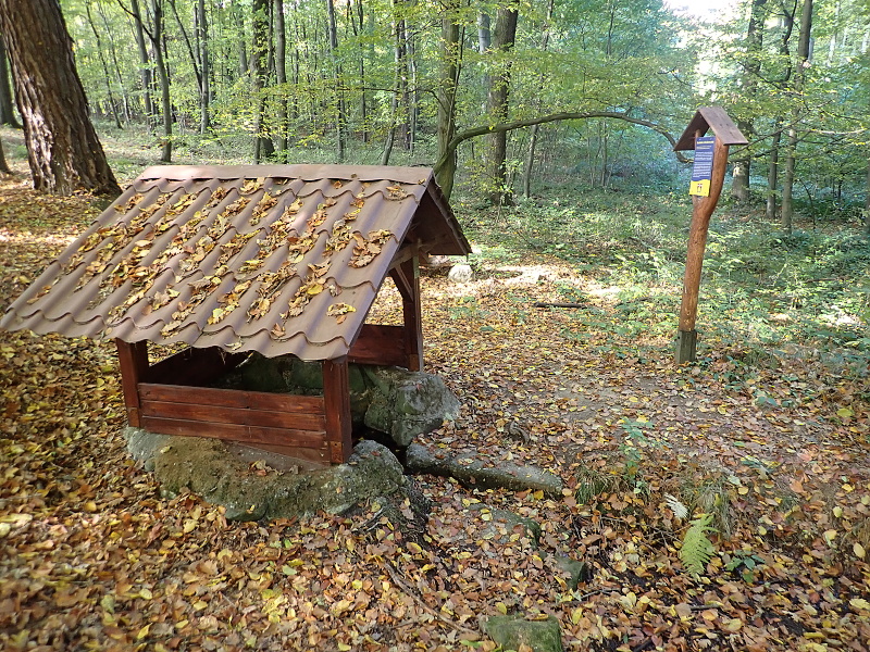 11 Studánka u Králova stolu