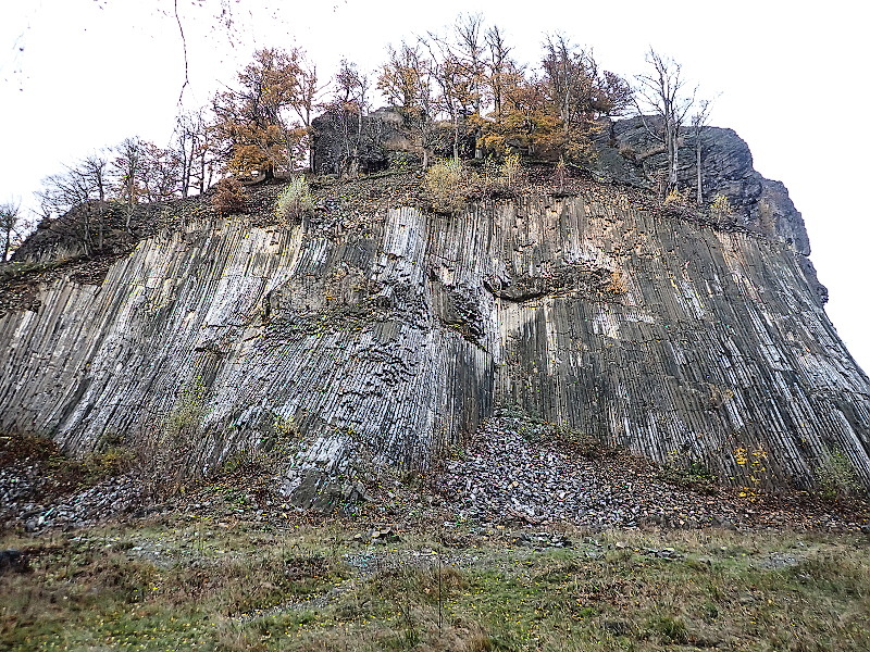 06 Kamenné varhany - Zlatý vrch, Líska