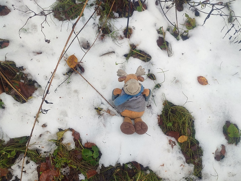 49 První sníh letošního podzimu