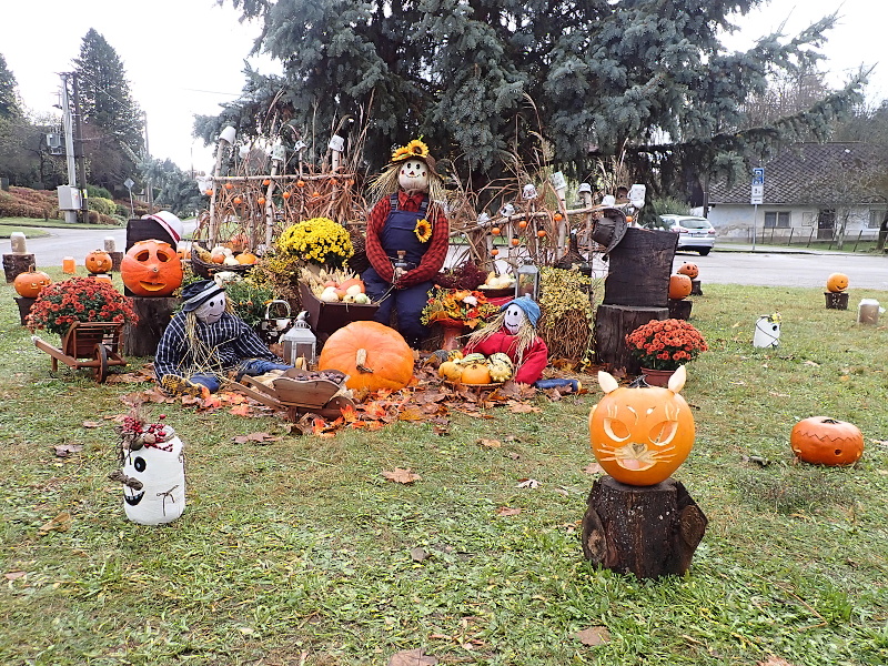 58 Na Halloween už jsme byli na Vysočině.
