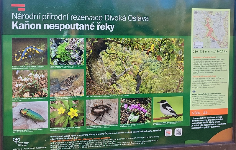 01 Pátek 7. listopadu