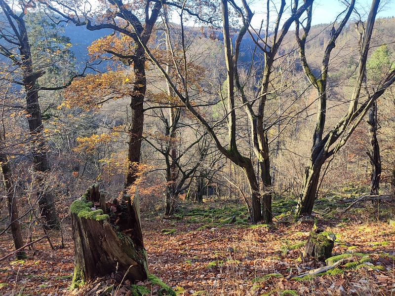 09 Příroda kolem je nádherná.