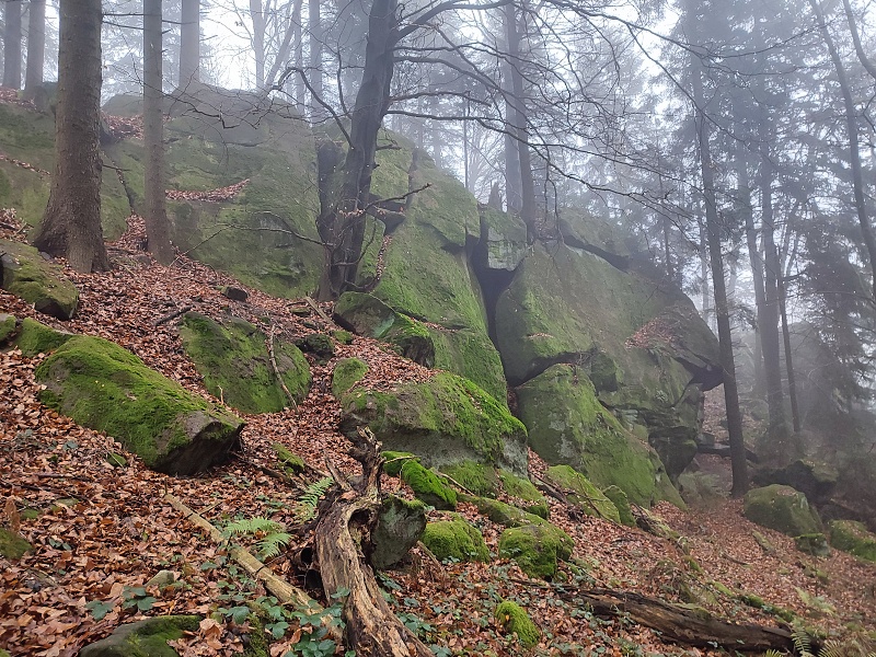 10 Hradisko, 773 m nad mořem
