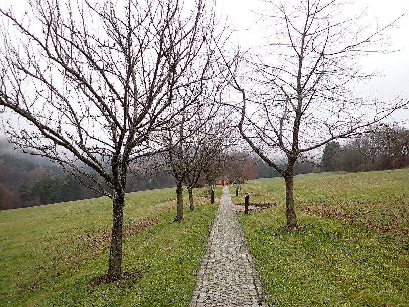 26 Cesta zdraví lemovaná popsanými záhony léčivých bylin