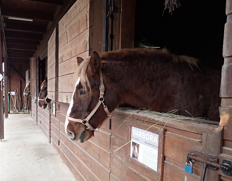 30 Vysoké Pole -Envicentrum pro krajinu