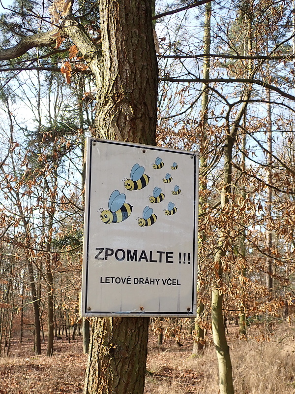 06 Skupina A vyráží pěšky z Koněšína.