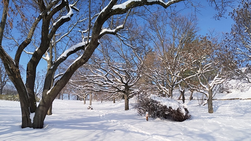 22 Na Gellértově hoře