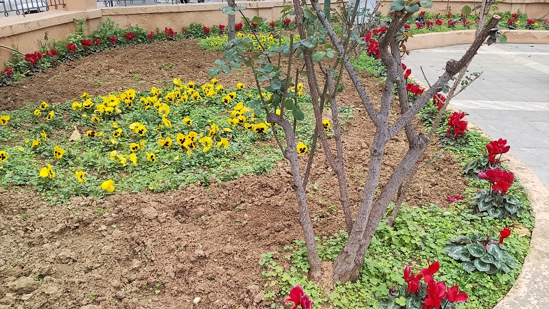 22 Leden, v noci mrzlo