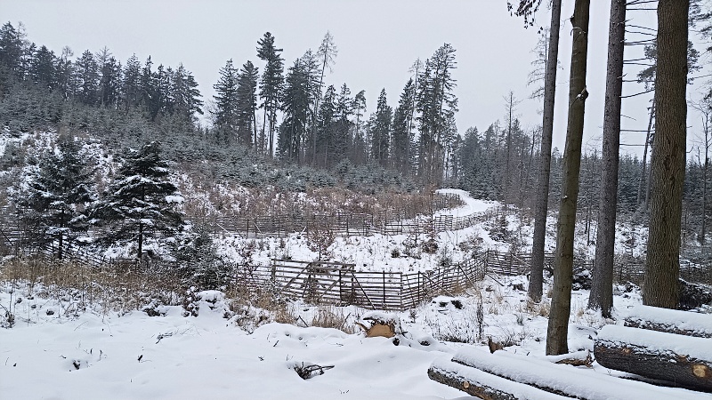 10 Krásná zimní atmosféra