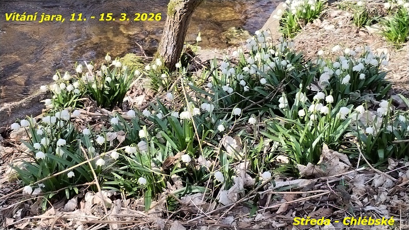 01 Údolí Chlébského potoka