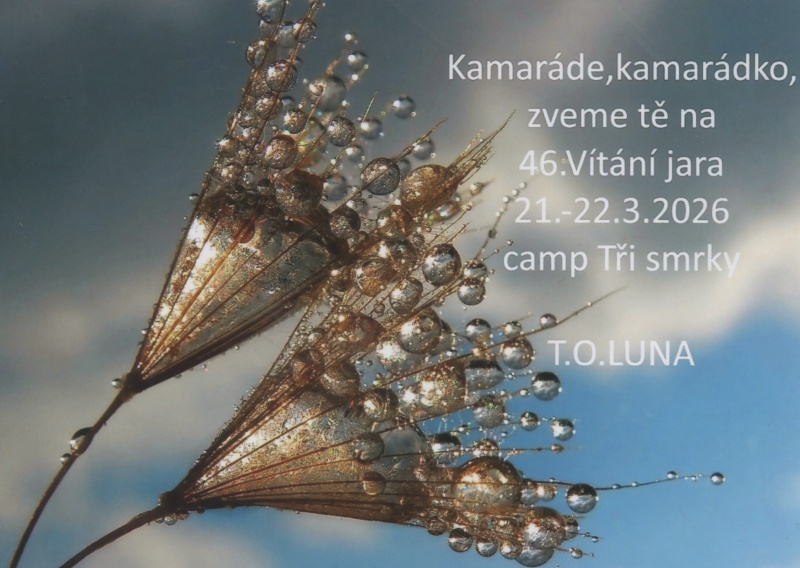 01 Tím potlachy začínají, přijde zvadlo.