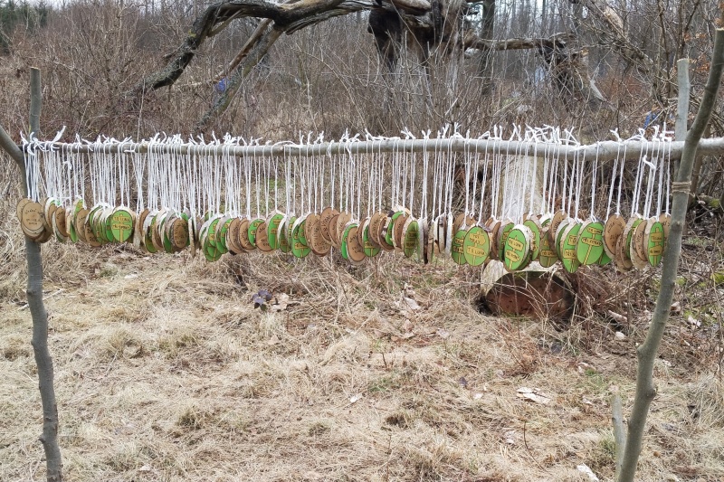 05 Omrkneme camrátka.