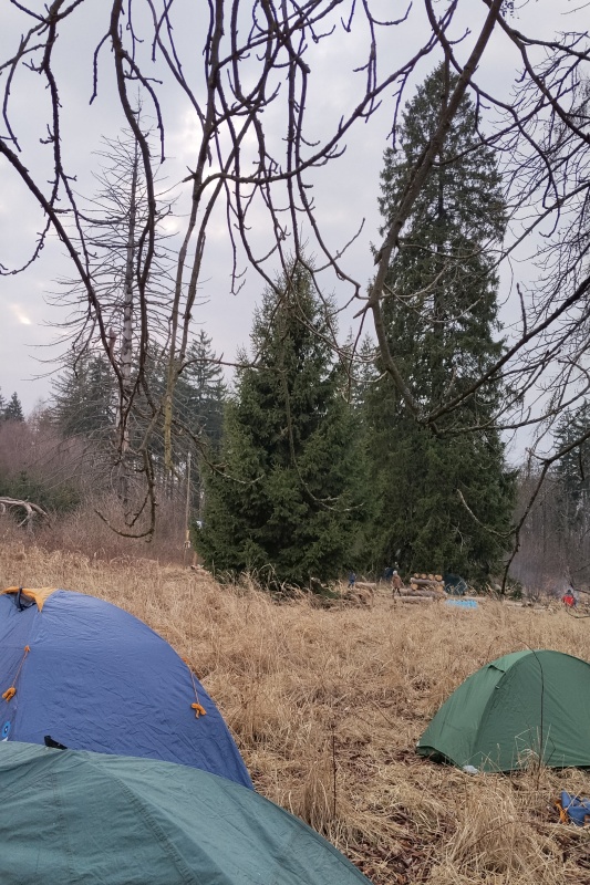 07 Opodál už vyrůstají smrky - dotostenci.