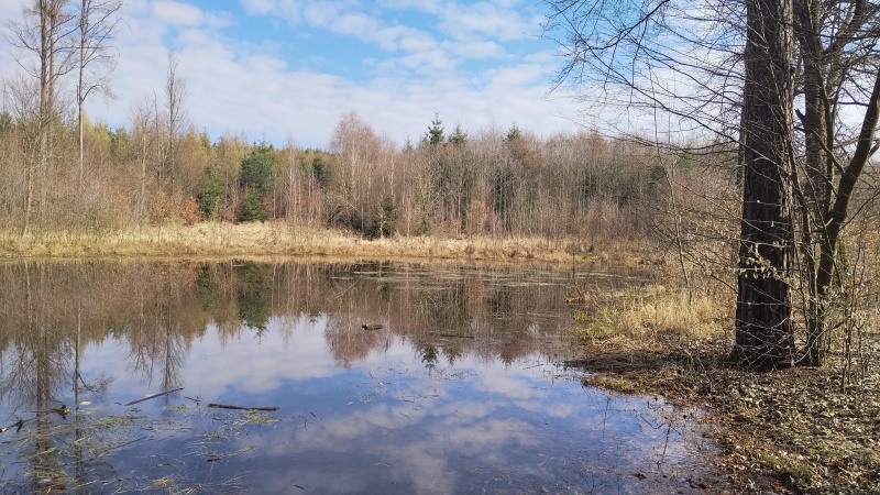 14 Tady se všera utopila místní Mořena.