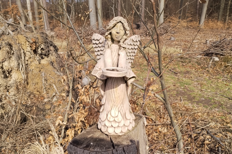 15 Jen tak v lese na pařezu