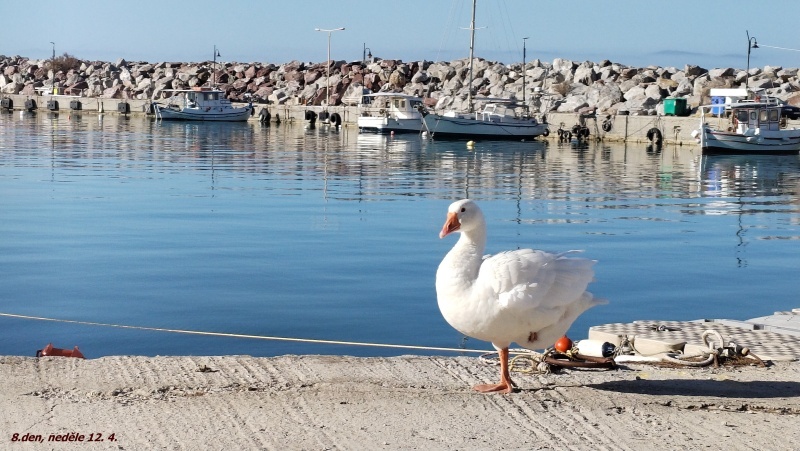 50 Racky jsme nepotkali.