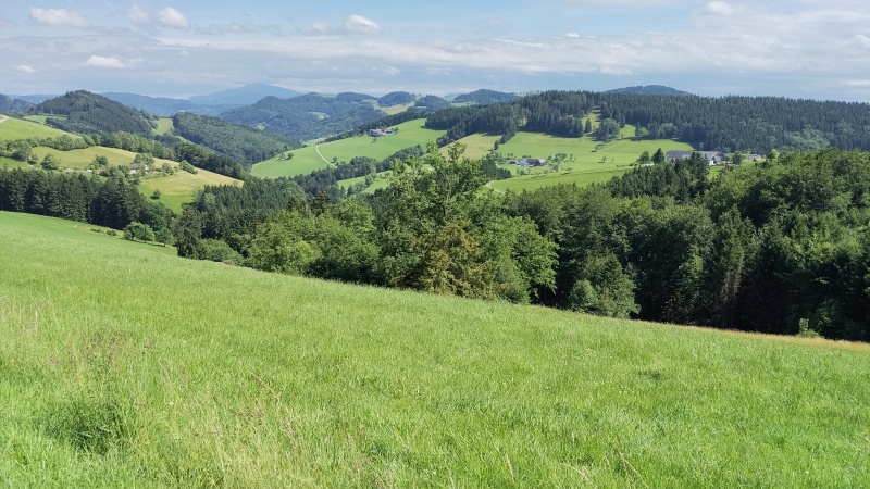 15 Z Amstetten na sever. Malá silnička, velké statky, krásné výhledy