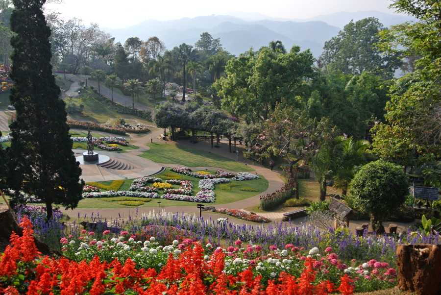 42. DOI TUNG