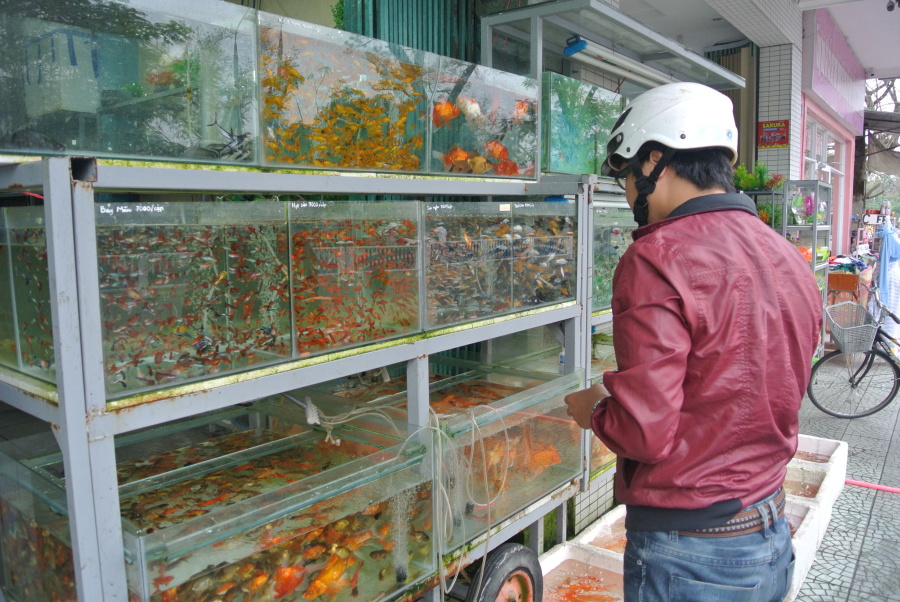 32.Vietnamci milují chovat ptáky a rybičky
