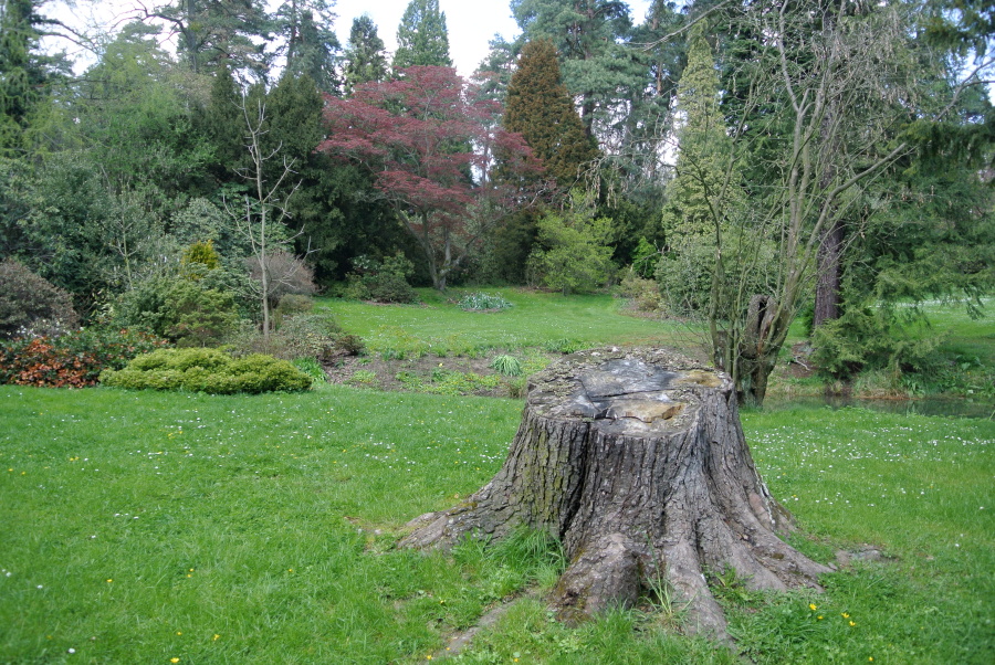 15 Arboretum Nový Dvůr