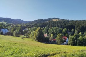 j83.jpg