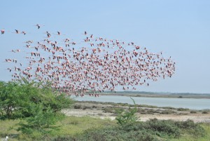 sri-lanka-2017-535.jpg