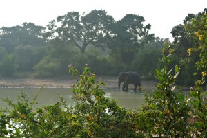 sri-lanka-2017-551.jpg