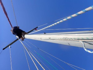 20-oprava-rolfoku.jpg