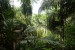 05 Původní deštný prales - Národní park Bako