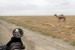 50 Posledních 100 km Uzbekistánem je špatná cesta